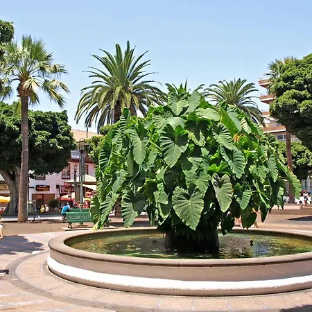 Heaven In Canary Islands 88 Apartment *